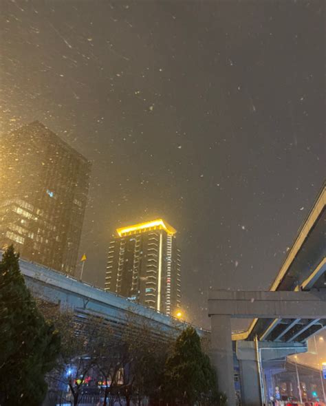 冷空气发威 上海已见初雪